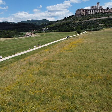 Agriturismo Molinella Asyż Zewnętrze zdjęcie