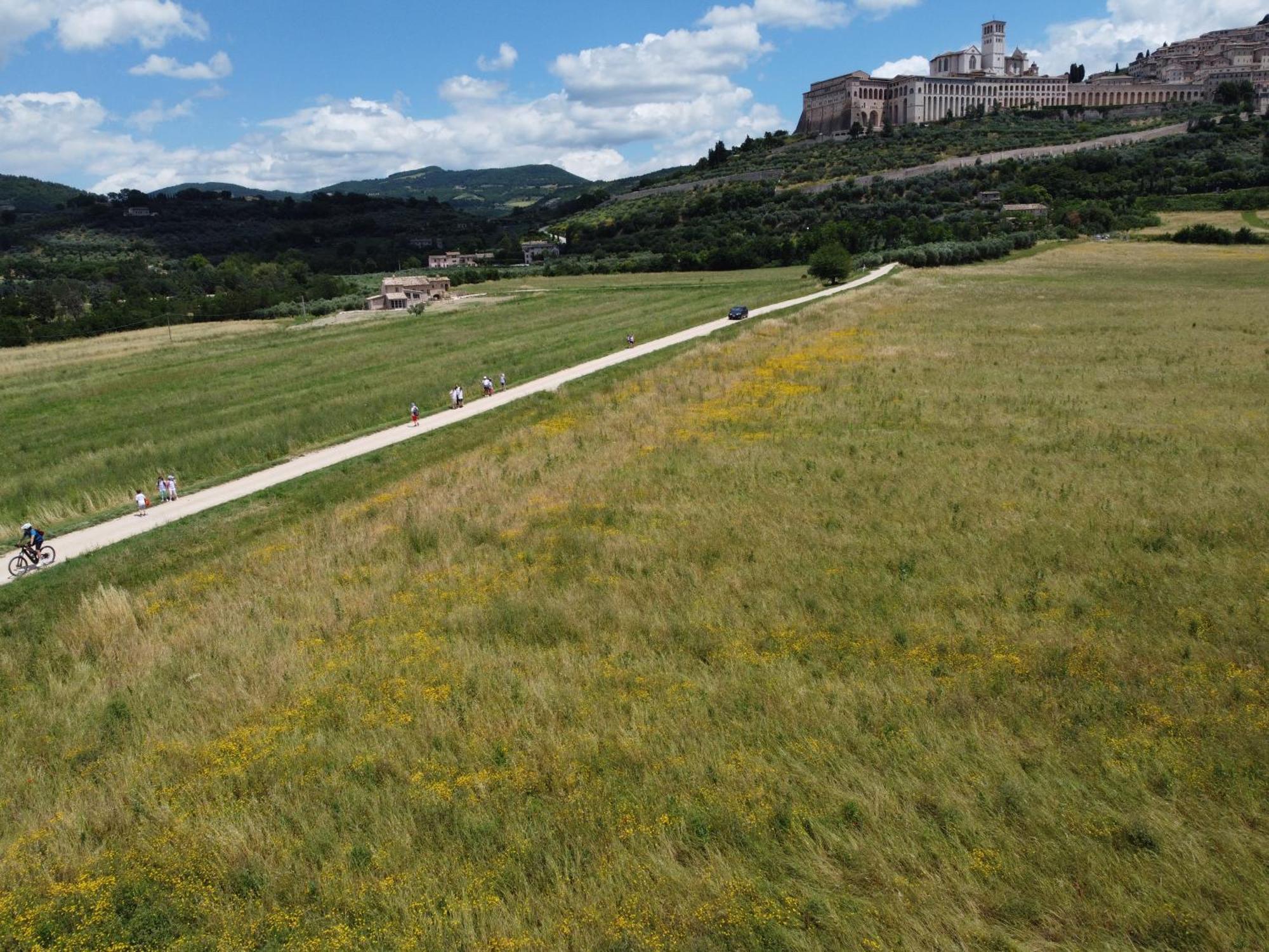 Agriturismo Molinella Asyż Zewnętrze zdjęcie